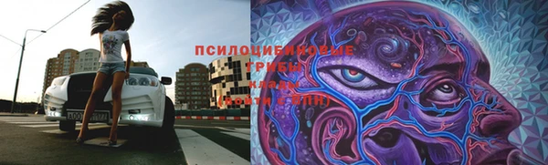 амф Белоозёрский