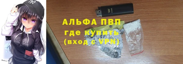 ГАЛЛЮЦИНОГЕННЫЕ ГРИБЫ Богданович