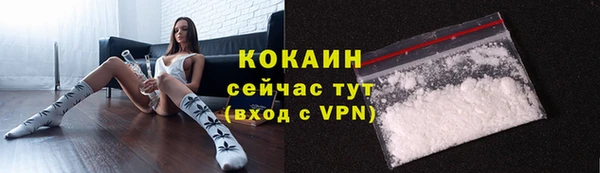 ГАЛЛЮЦИНОГЕННЫЕ ГРИБЫ Богданович