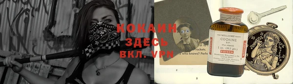 mix Богородицк