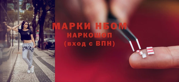 mix Богородицк