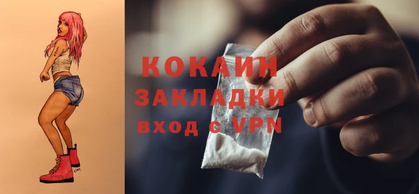 ГАЛЛЮЦИНОГЕННЫЕ ГРИБЫ Богданович