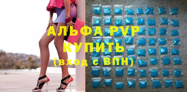 ГАЛЛЮЦИНОГЕННЫЕ ГРИБЫ Богданович