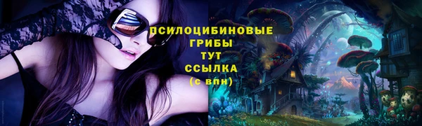 прущие крисы Богородск